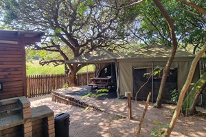 Safari Tent 4 (1)