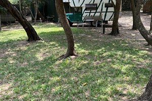 Campsite July 2025 (4)