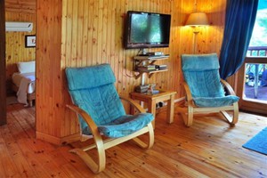 Tree Tops Cottage (1)