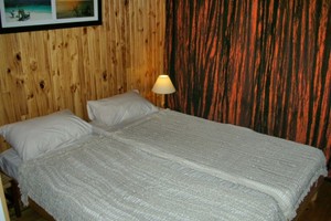 Tree Tops Cottage (10)