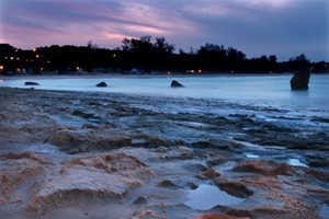 Tree Tops Cottage (11)