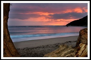 Tree Tops Cottage (14)