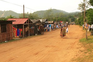 Tree Tops Cottage (16)