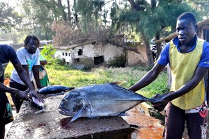 Tree Tops Cottage (18)