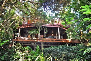 Tree Tops Cottage (3)