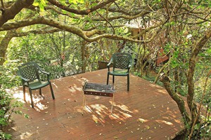 Tree Tops Cottage (7)