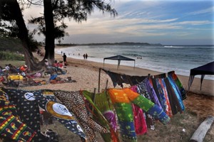 Tree Tops Cottage (9)