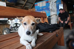 Charlie's Bar (23)