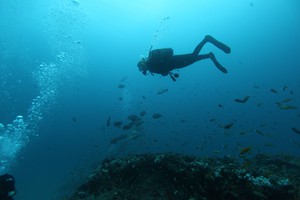 Underwater Explorers (5)