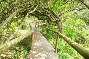 Villa Paraiso Ponta Malongane (12)