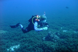 Ocean Echo Scuba (2)