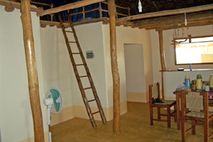IMGP1445
