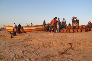Logistics in a more traditional sense transporting fresh goods